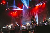 「N.Flying、インディーズ時代から9年越しとなるZeppツアーのライブレポ到着」1枚目/10