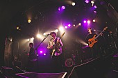 「フレデリック、全国ツアーライブハウス編を完走「今日はあなたの音楽人生を更新します」」1枚目/8