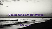 「Newspeak、「Ocean Wind &amp;amp; Violet Waves」配信開始＆リリックビデオ公開決定」1枚目/4