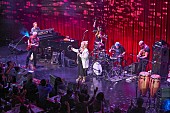 「＜ライブレポート＞シャカタク、結成40周年を祝福するビルボードツアーが横浜で終幕」1枚目/11