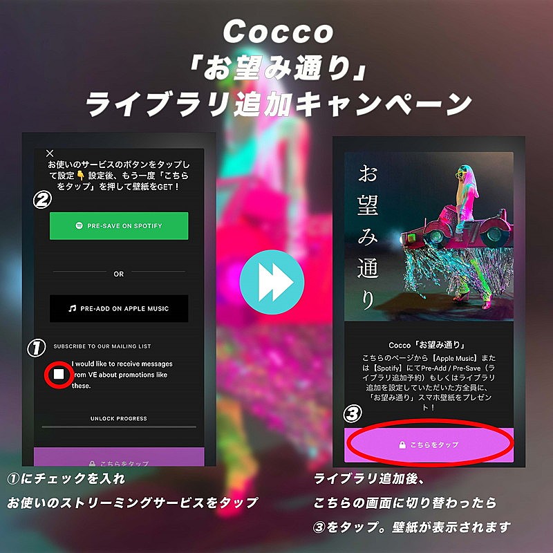 Ｃｏｃｃｏ「	Cocco 配信シングル「お望み通り」Apple Music・Spotifyライブラリ追加キャンペーン」3枚目/4