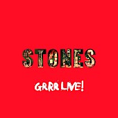 「ザ・ローリング・ストーンズ、レディー・ガガら豪華ゲストを迎えた2012年のライブが商品化」1枚目/4