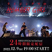 「NUMBER GIRLの特別番組『ライジングでのNUMBER GIRL』24時間限定配信」1枚目/1