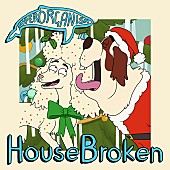 「スーパーオーガニズム、新曲「Woofin&amp;#039; &amp;amp; Meowin&amp;#039;」でホリデー・シーズンの喜びを表現」1枚目/2