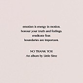 「リトル・シムズ、ニューAL『NO THANK YOU』をリリースへ」1枚目/1