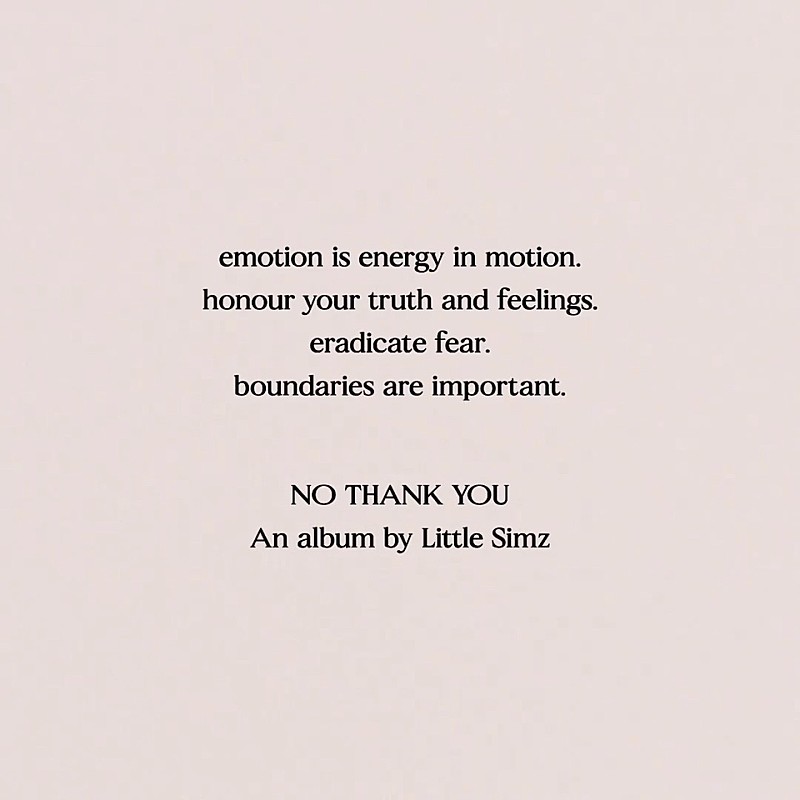 「リトル・シムズ、ニューAL『NO THANK YOU』をリリースへ」1枚目/1