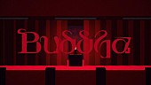 「春野、新曲「Buddha」配信リリース＆MV公開」1枚目/3