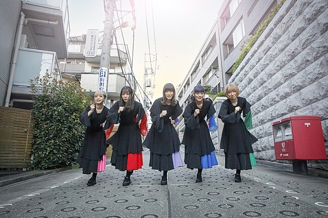 「豆柴の大群、『水ダウ』モンスターラブ“マミ”も参加の新メンバー合宿オーディション生中継」1枚目/2