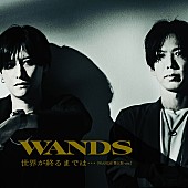 「WANDS、「世界が終るまでは…」第5期バージョンのMVを公開」1枚目/1