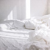 「神はサイコロを振らない×asmi、“冬の大三角形“第2弾「朝靄に溶ける」リリース」1枚目/4