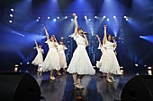「乃木坂46、ツアー形式【31stSG アンダーライブ】を完遂」1枚目/11
