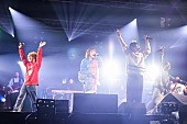 「＜ライブレポート＞aikoがフェス初出演、豪華コラボが相次いだ【RADIO CRAZY 2022】3日目」1枚目/15