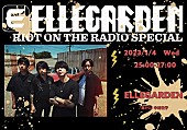 「ELLEGARDENのラジオ番組『RIOT ON THE RADIO』メンバー勢揃いで一夜限りの復活決定」1枚目/1