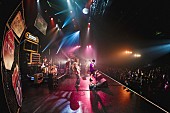 「＜ライブレポート＞Chilli Beans.　“等身大”の姿で豊洲PITを埋めた【Hi, TOUR】ファイナル」1枚目/6