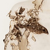 「Kroi、『ABEMA Prime』1月度番組EDテーマ決定」1枚目/2