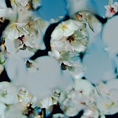 「星野源「喜劇」ストリーミング累計1億回再生突破」1枚目/1