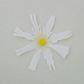 「wacci「恋だろ」自身2曲目のストリーミング累計1億回再生突破」1枚目/1