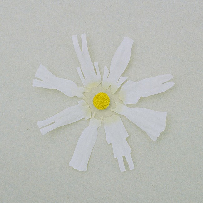 「wacci「恋だろ」自身2曲目のストリーミング累計1億回再生突破」1枚目/1