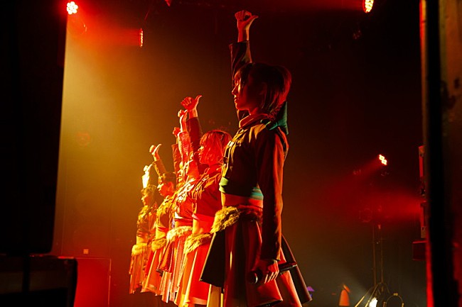 「豆柴の大群【豆柴の大群のりりりスタート】」3枚目/10