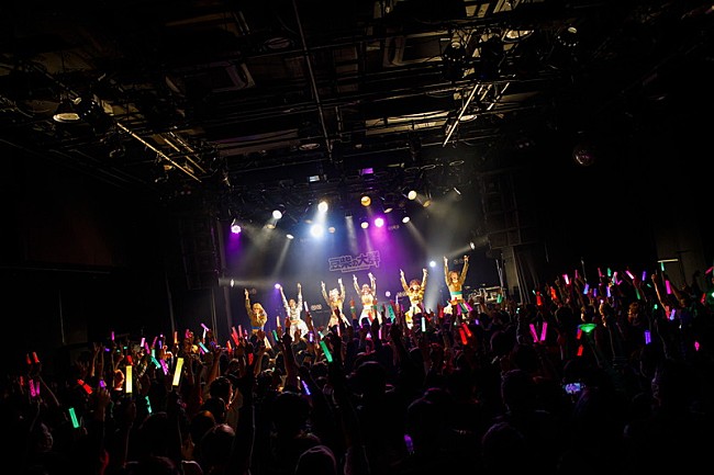 「豆柴の大群【豆柴の大群のりりりスタート】」4枚目/10