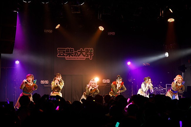 「豆柴の大群【豆柴の大群のりりりスタート】」6枚目/10