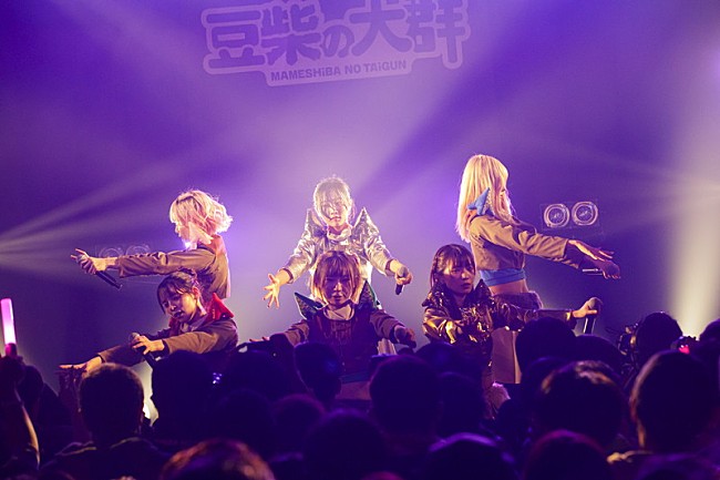 「豆柴の大群【豆柴の大群のりりりスタート】」8枚目/10