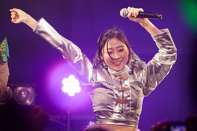 「 豆柴の大群【豆柴の大群のりりりスタート】」2枚目/10