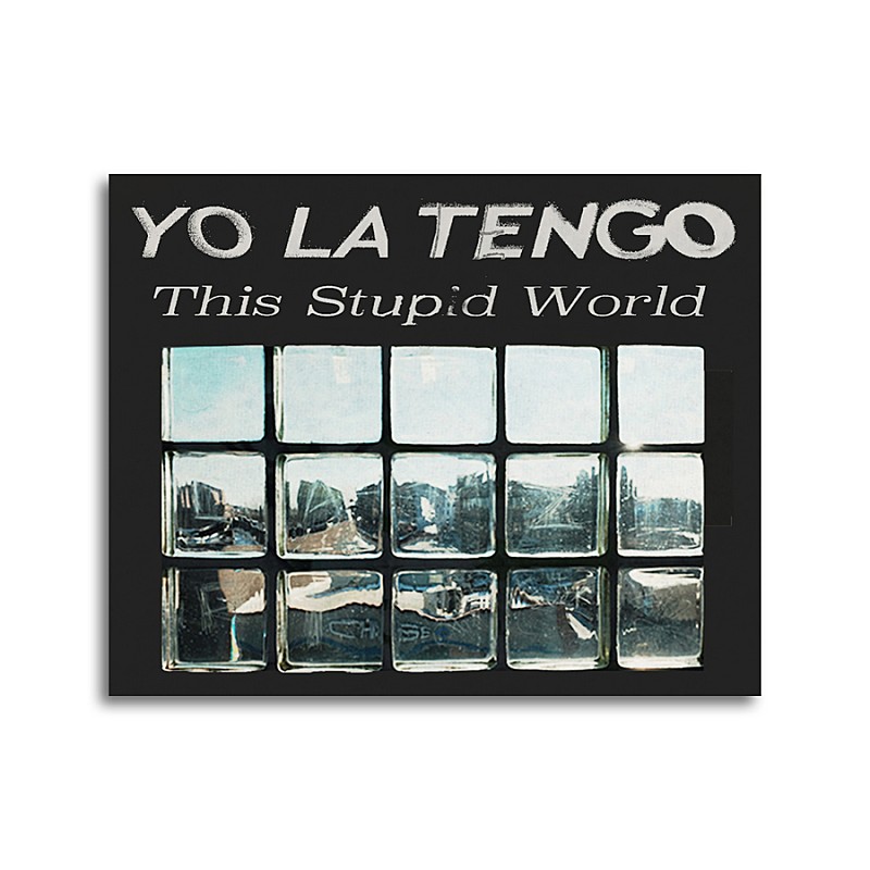 大特価放出！ ヨ ラ テンゴ ディス ステューピッド ワールド YO LA TENGO CD