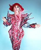 「ビョーク、シャイガールが参加した「ovule」のセガ・ボデガによるリミックス公開」1枚目/2