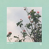 「くるり、高校教科書にも掲載される「ばらの花」MVをフル公開」1枚目/4