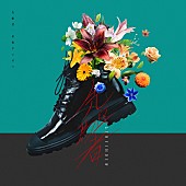 「星街すいせい、2ndソロライブで初披露した新曲「先駆者」リリース決定　楽曲提供はフジファブリック山内総一郎」1枚目/1