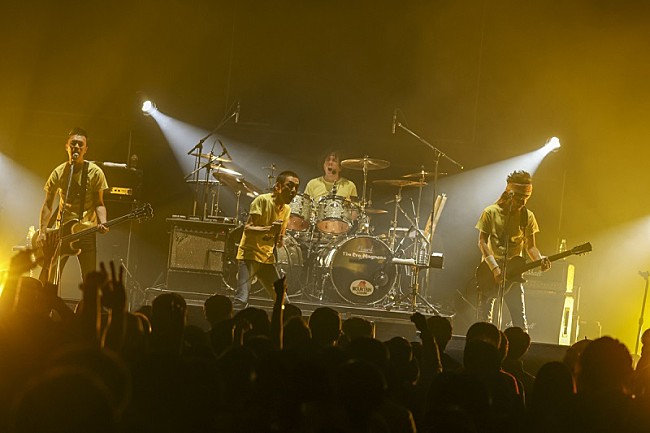 「Photo by 柴田恵理」2枚目/2