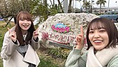 「櫻坂46、新コンテンツ「Go To サクラ旅」Vlog公開」1枚目/2