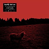 「syrup16g、アルバム『HELL-SEE』20周年記念でアナログ化＆Tシャツも販売」1枚目/7