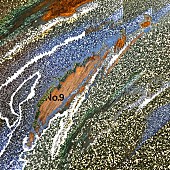 「	フジファブリック 配信シングル「ミラクルレボリューション No.9」」2枚目/2