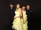 「サーカス、デビュー45周年を記念したビルボードライブ公演が決定」1枚目/1