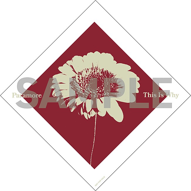 「アルバム 『This Is Why』特典」4枚目/4