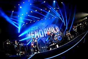 「NEMOPHILA、【TOUR 2023「Seize the Fate」】ツアーファイナルの公式レポートが到着」