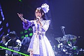 「＜ライブレポート＞水樹奈々、声優アーティストとしての矜持を存分に見せつけた【NANA MIZUKI LIVE HEROES 2023 -BLADE MODE-】」1枚目/9