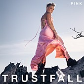「P!NK「音楽人生に置いて一番の自信作」、ニューアルバム『トラストフォール』発売」1枚目/2