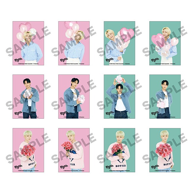 「クリアフォトカード（ランダム12種）」9枚目/28