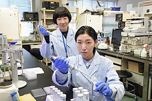 「「ブラッシュアップライフ」“真里”水川あさみもタイムリ－プ説が浮上　「もともとは仲良し４人組だった」「妹も人生２週目」など考察が白熱」