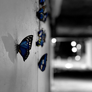 「Murakami Keisuke、創造の気まぐれを描いた新曲「Dawn」配信」