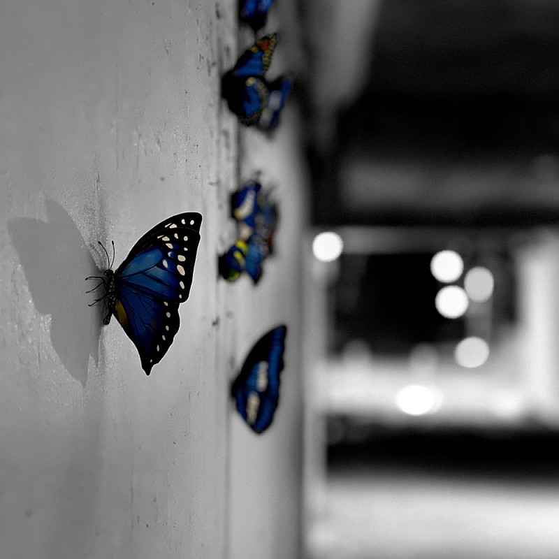 「Murakami Keisuke、創造の気まぐれを描いた新曲「Dawn」配信」1枚目/1