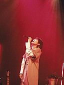 「Photo：domu」11枚目/17