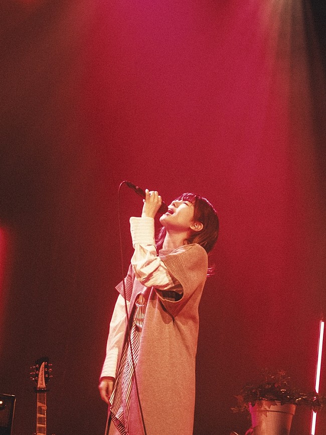 「Photo：domu」11枚目/17