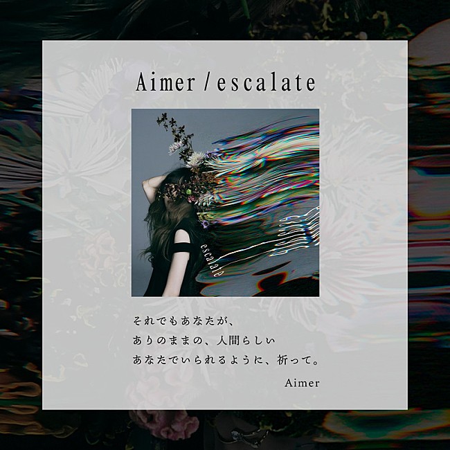 「	Aimer 新曲「escalate」MVコメント」2枚目/8