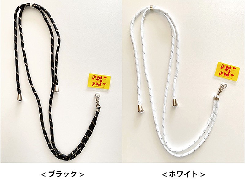 「※画像はイメージです。」2枚目/3