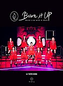 「NiziU、東京ドーム公演【Burn it Up】映像作品リリース決定」1枚目/2
