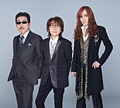 「結成50周年のTHE ALFEE、新曲がドラマ『グランマの憂鬱』主題歌に決定」1枚目/1